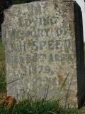 image of grave number 303811